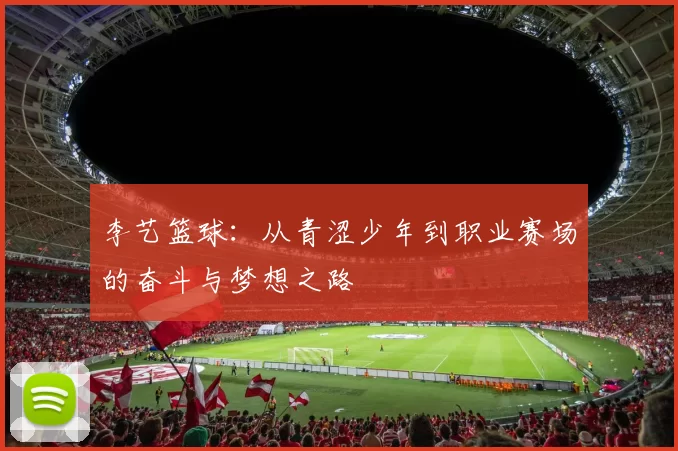 李艺篮球：从青涩少年到职业赛场的奋斗与梦想之路