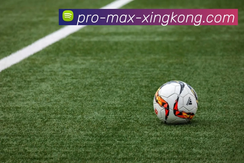 星空体育服务体系