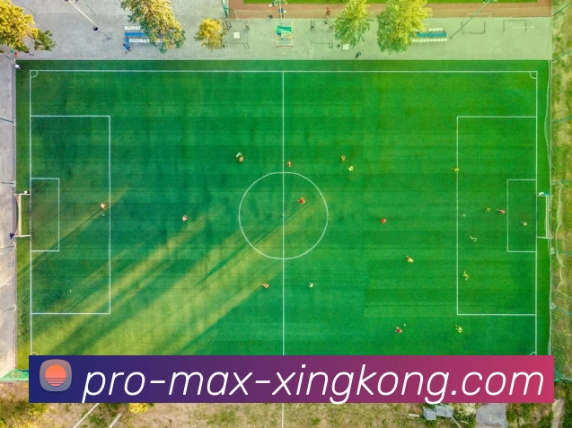 奖项证书